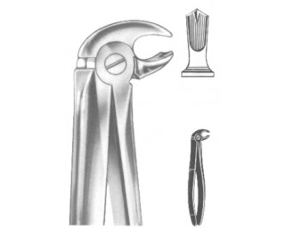 Extracting Forceps English pattern